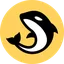 Orca